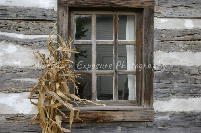 Illinois Cabin