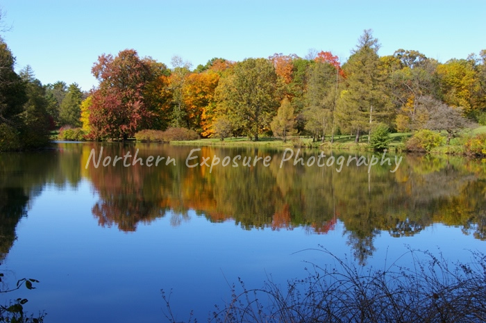 Illinois Pond