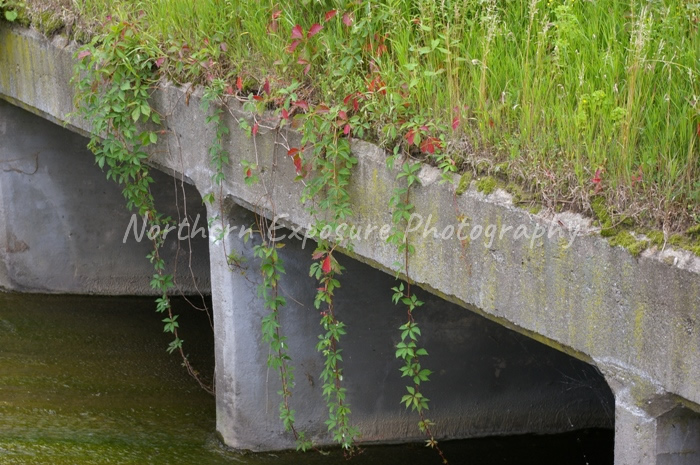 Iowa Bridge