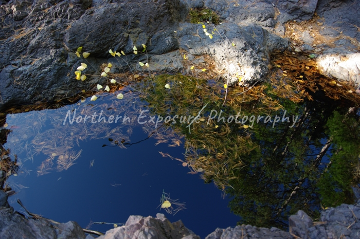 Wisconsin Puddle